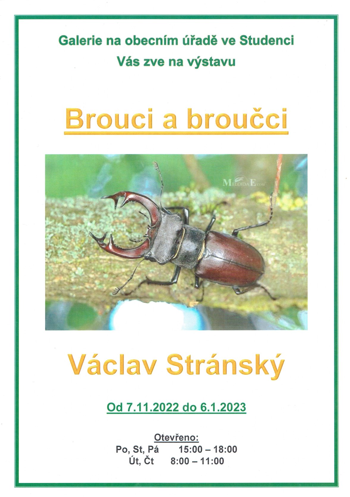 brouci (1)